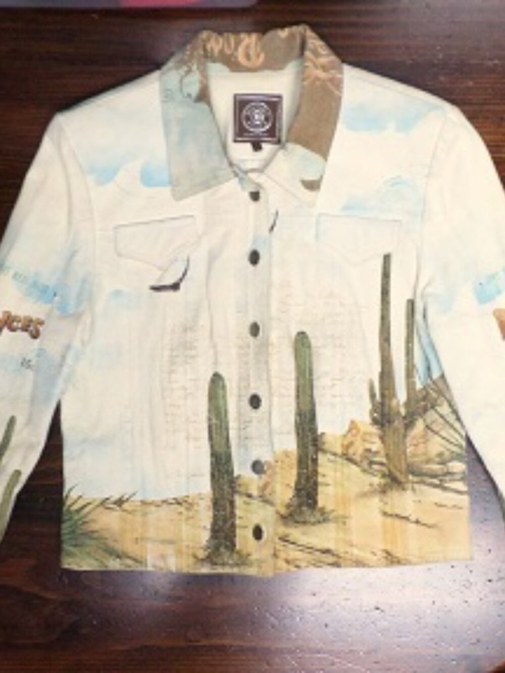 DOUBLE D RANCH Suede Leather Jacket--Range Romance - Vintage Western Print - Picture 2 of 8
